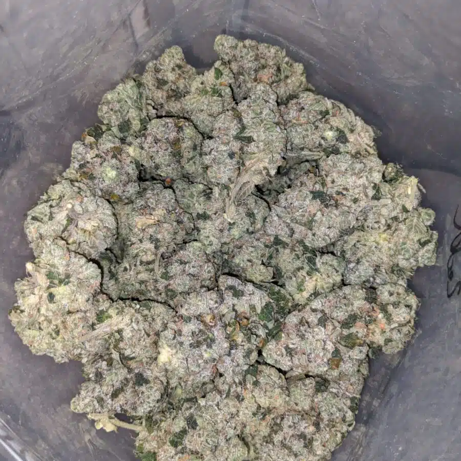 $71 Oz - Killer Queen