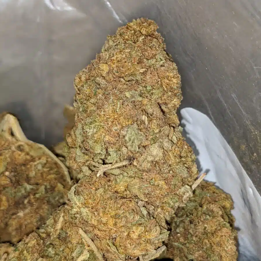 aa pot of gold 3 I AA+ Pot of Gold