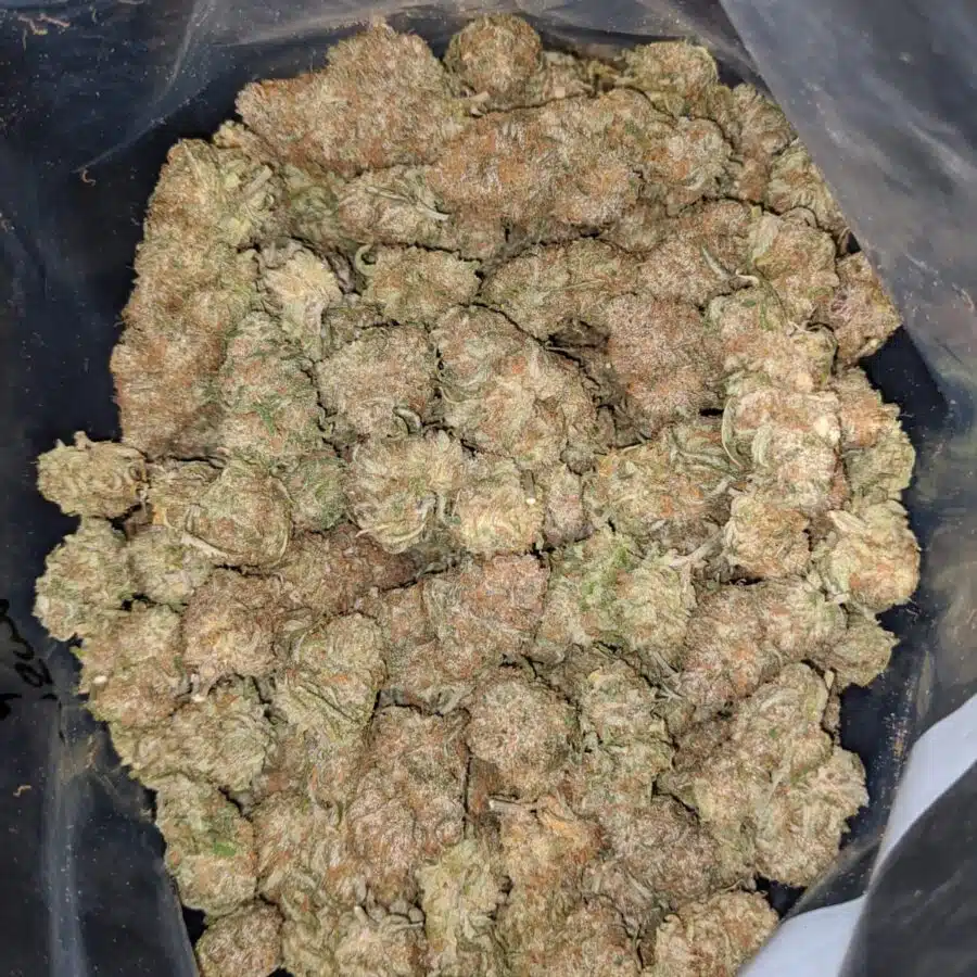 chocolate kush 1 I $ 61 Oz - Very Berry