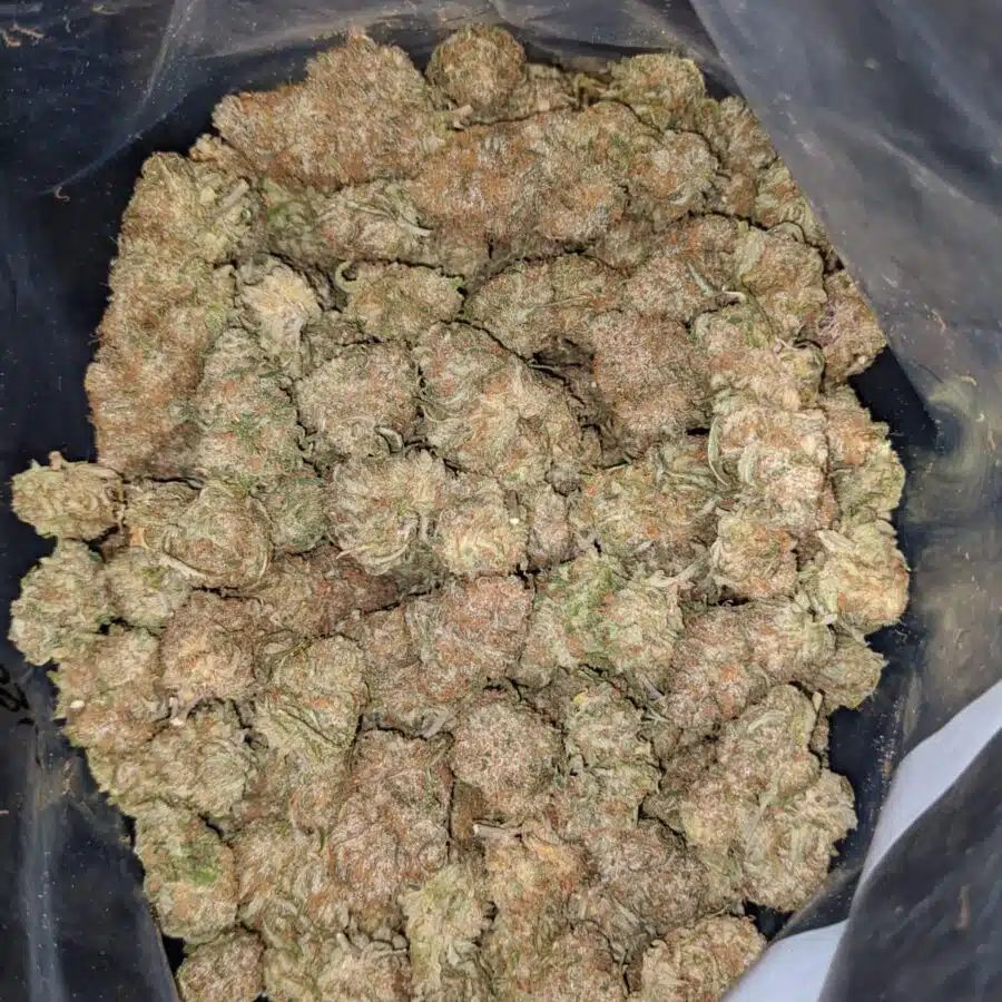 $ 61 Oz - Very Berry