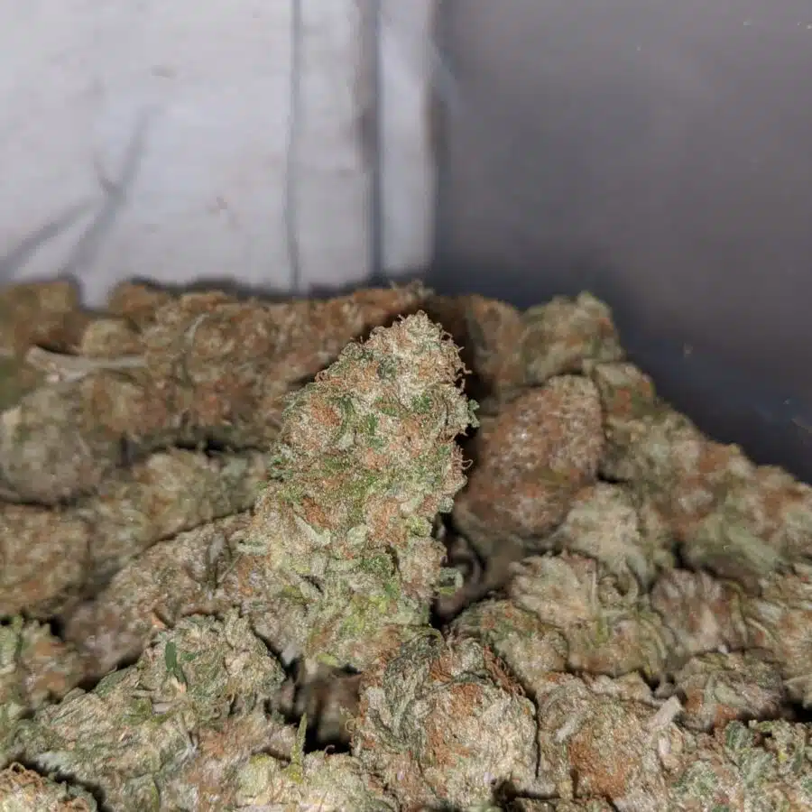 chocolate kush 3 I $ 61 Oz - Very Berry
