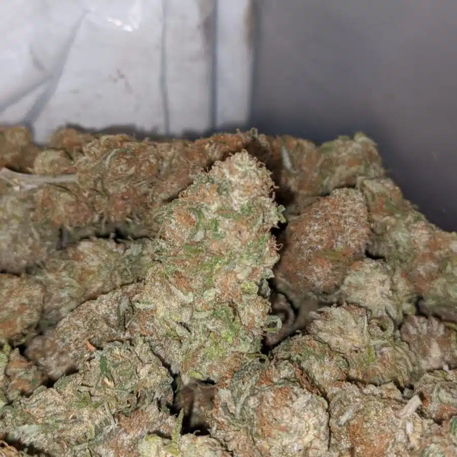 chocolate kush 4 I $ 61 Oz - Very Berry