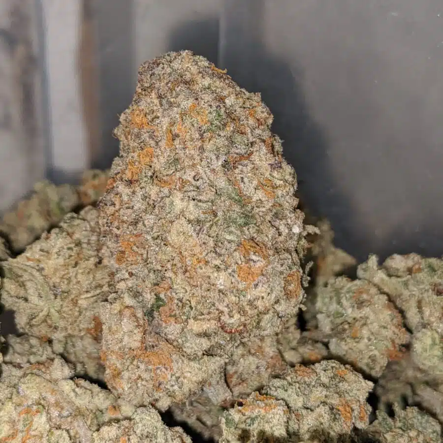 Crunch Berry - Image 6