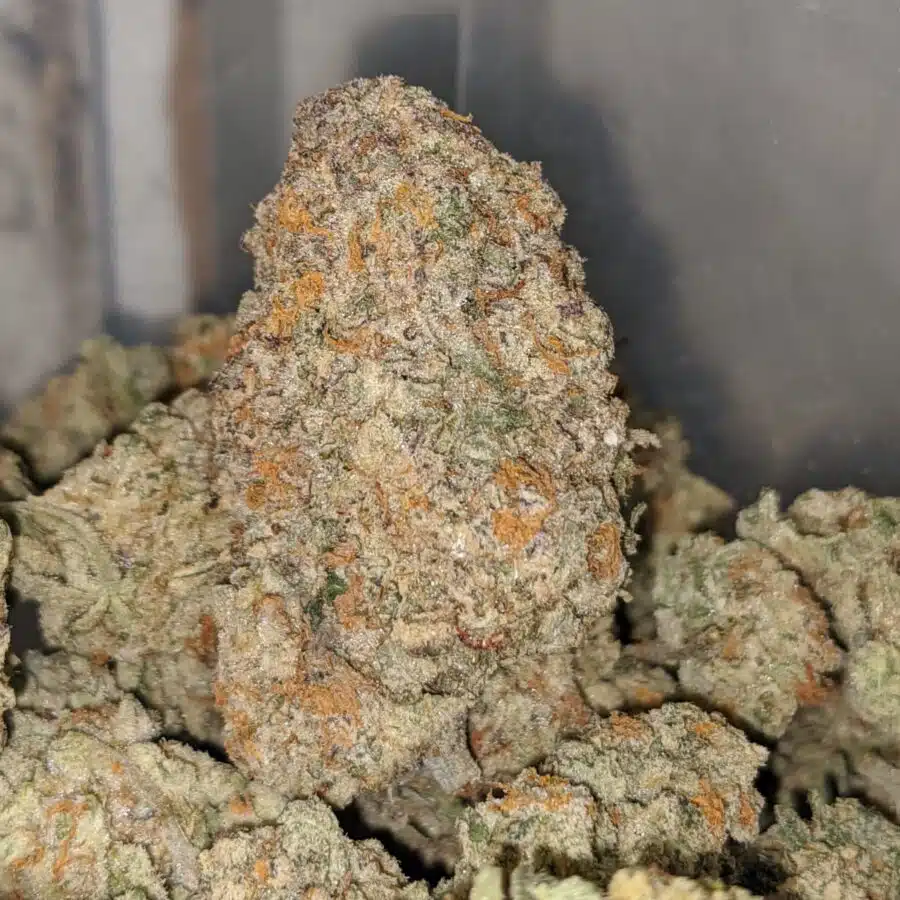 Crunch Berry - Image 5
