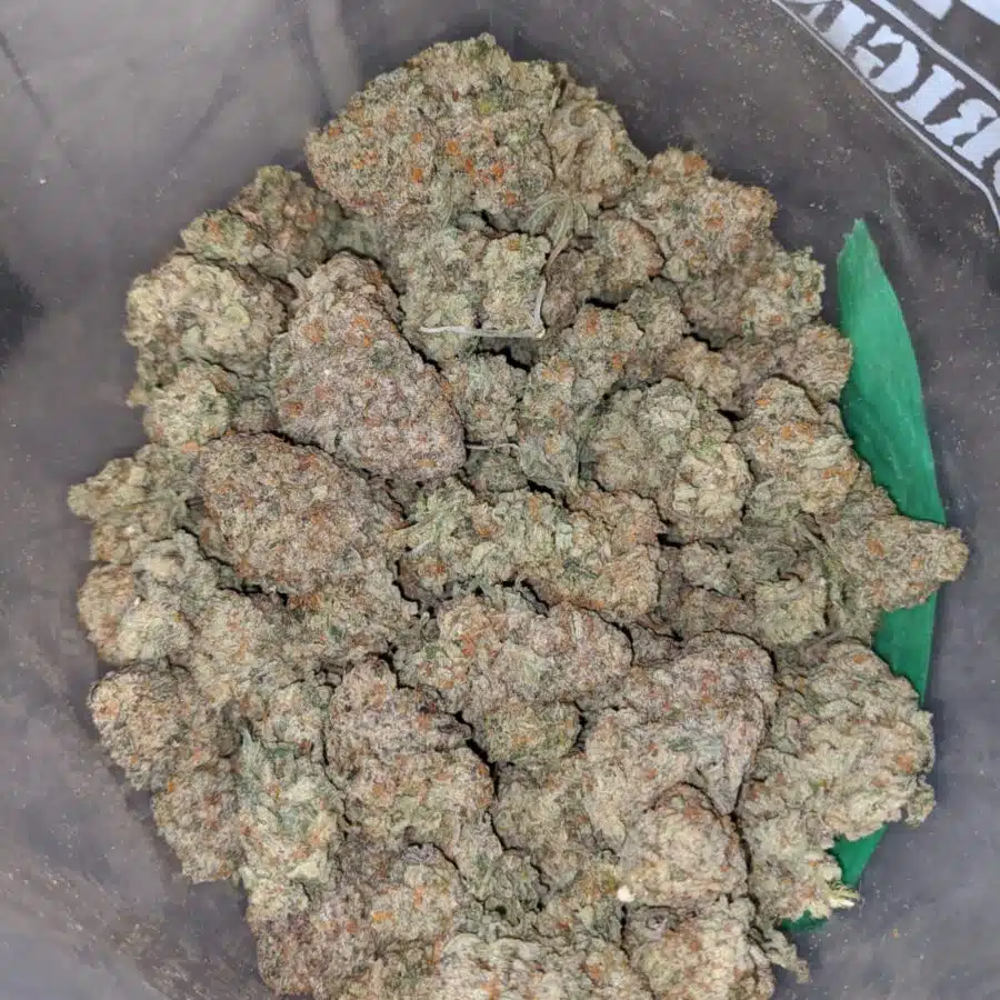 Crunch Berry - Image 4