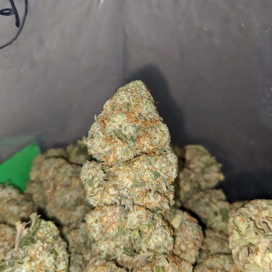 goudaberry 1 I $69 Oz - Goudaberry
