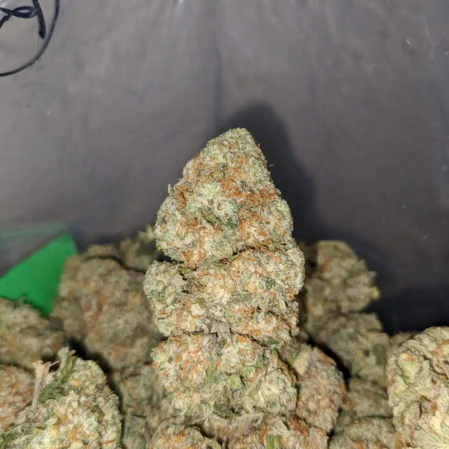 goudaberry 2 I $69 Oz - Goudaberry