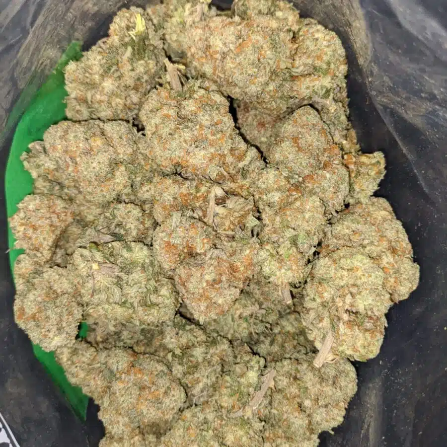 goudaberry 3 I $69 Oz - Goudaberry
