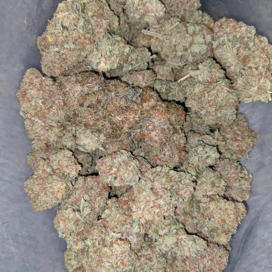 jack the ripper 1 I Jack The Ripper