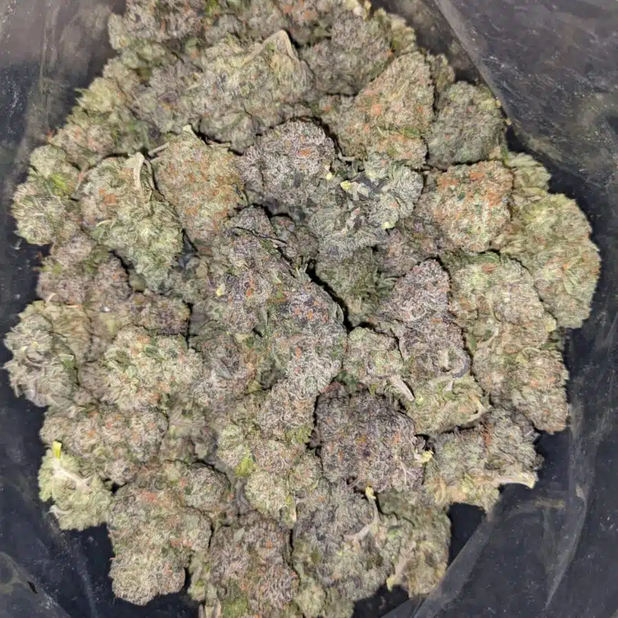 night nurse 1 I Night Nurse