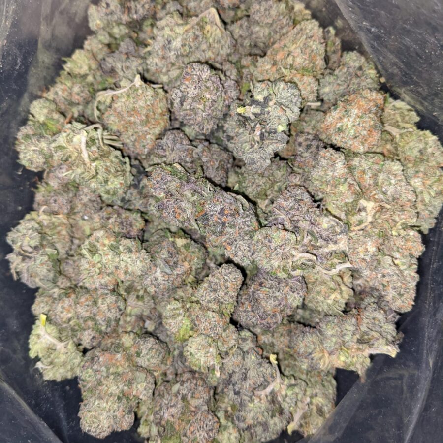 night nurse 2 I Night Nurse