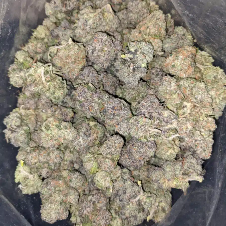 night nurse 2 I Night Nurse