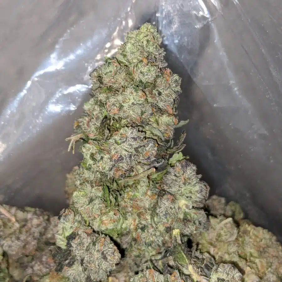 night nurse 3 I Night Nurse