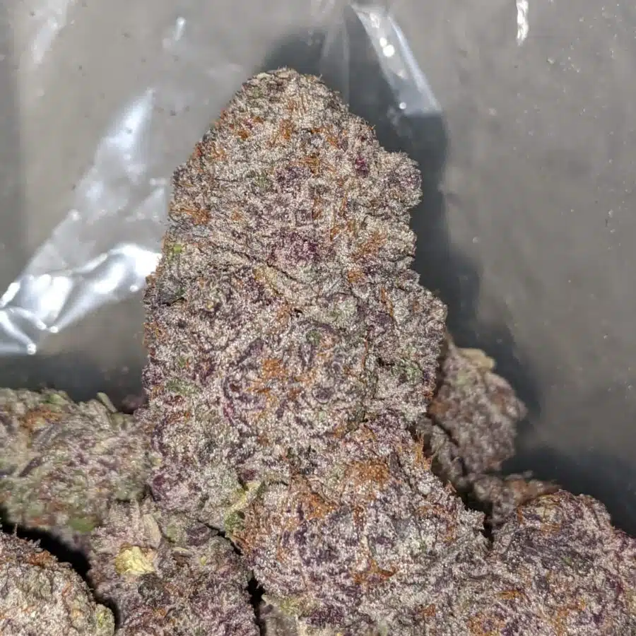 purple moonrocks 1 I Purple Moonrocks