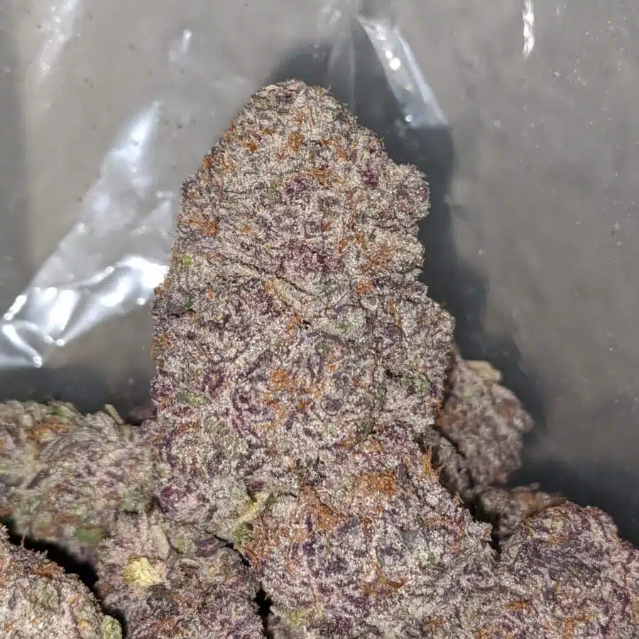 purple moonrocks 2 I Purple Moonrocks