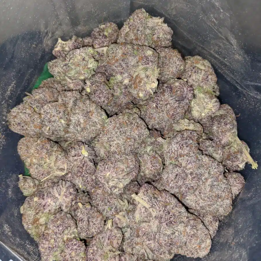 purple moonrocks 3 I Purple Moonrocks
