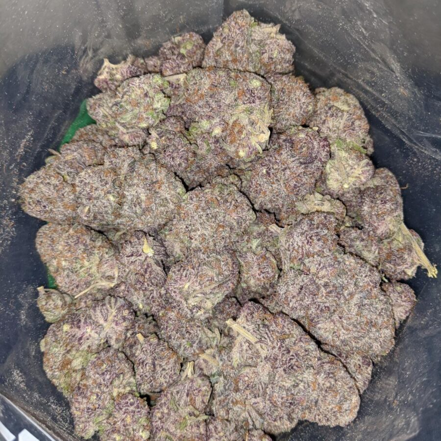 purple moonrocks 4 I Purple Moonrocks