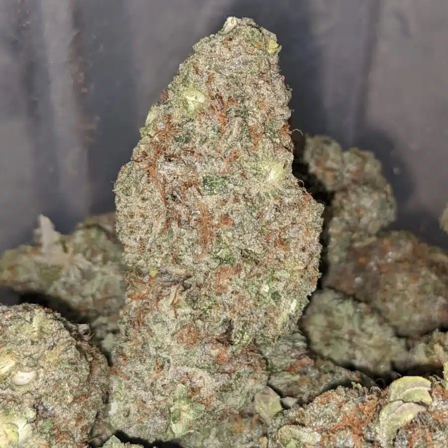 tangerine dream 1 1 I $77 Oz -Tangerine Dream