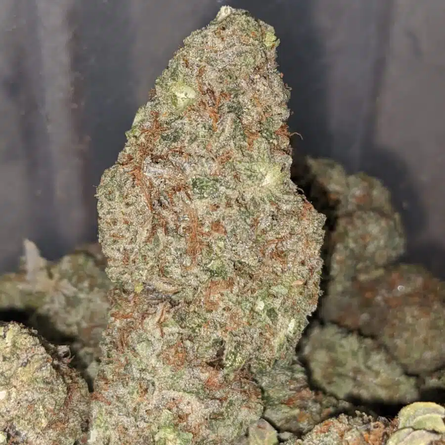 tangerine dream 2 1 I $77 Oz -Tangerine Dream