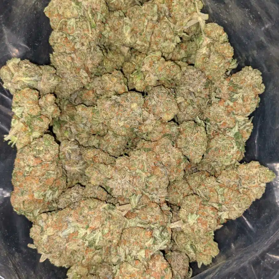 vortex 1 I $69 Oz - Vortex
