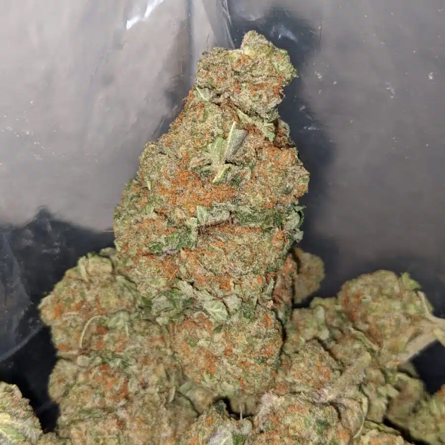 vortex 3 I $69 Oz - Vortex