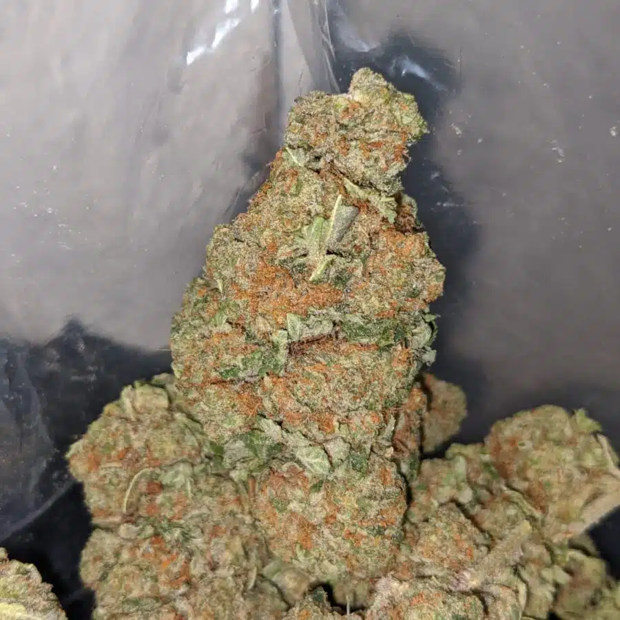 vortex 4 I $69 Oz - Vortex