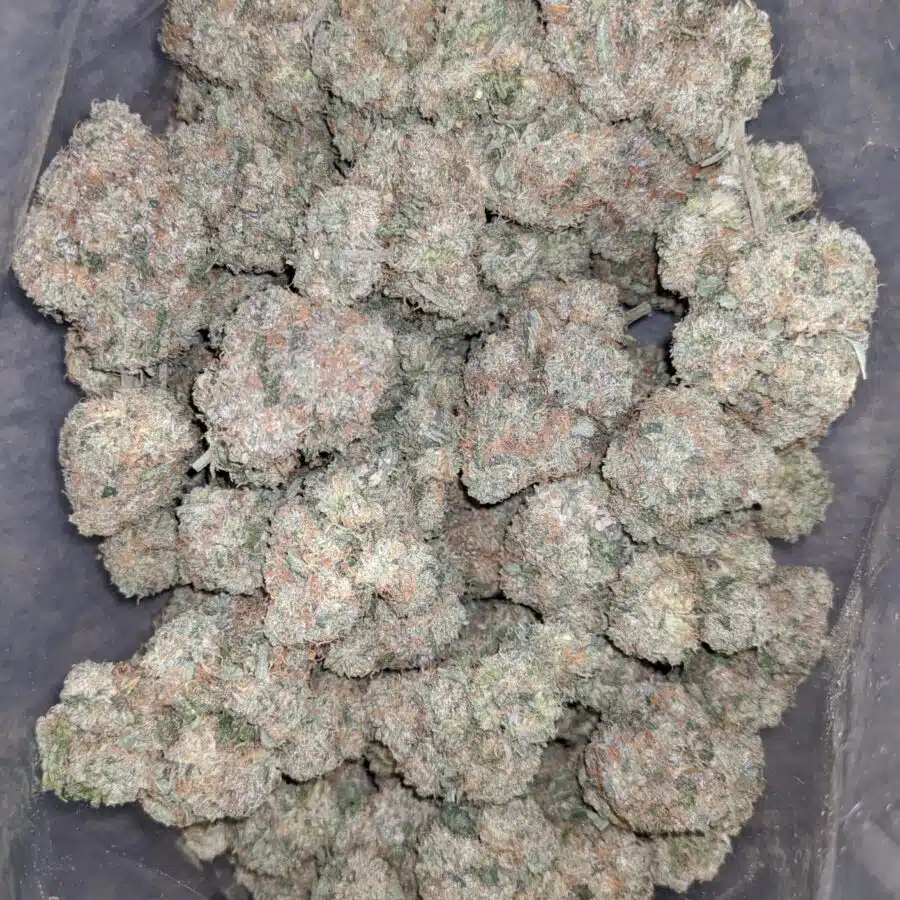 walter white 1 I Walter White