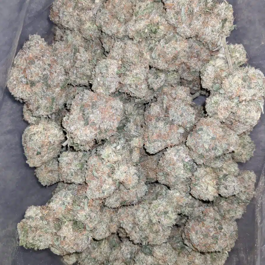 walter white 2 I Walter White