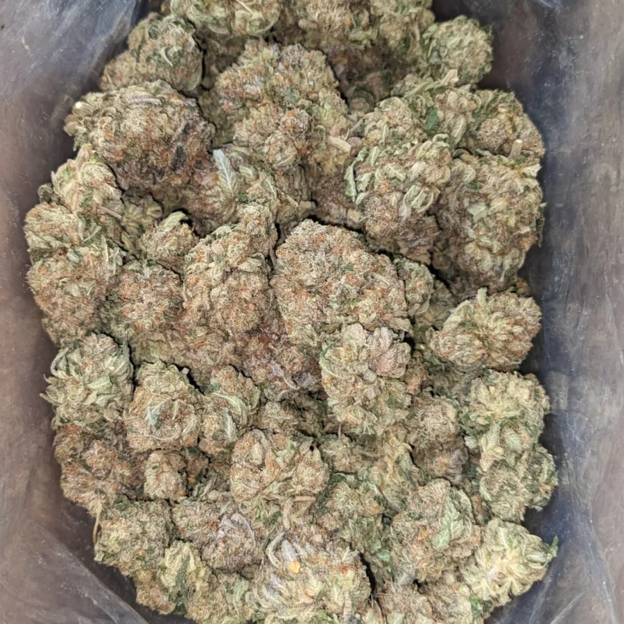 Alternative view of $46oz Bubba Kush