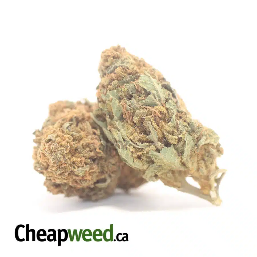 AA OG SKUNK 3 I AA+ OG Skunk