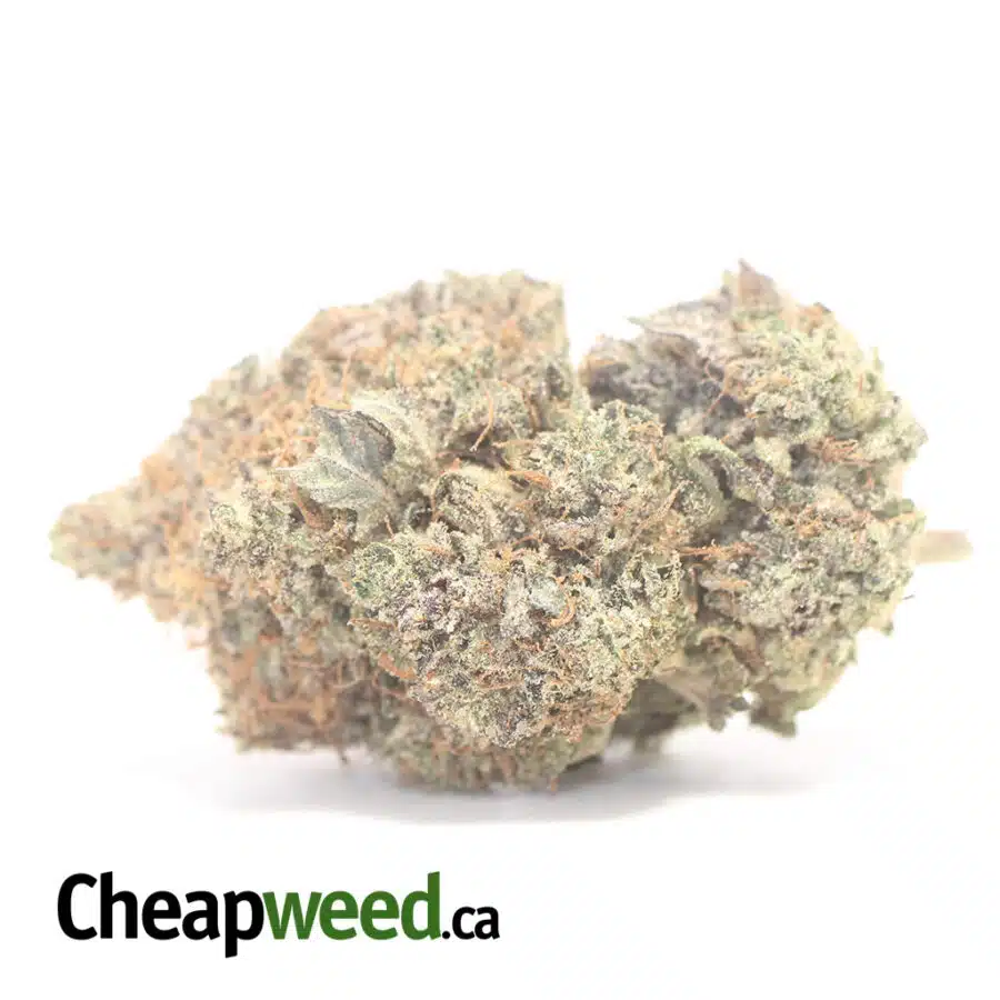 Dark Star Pink