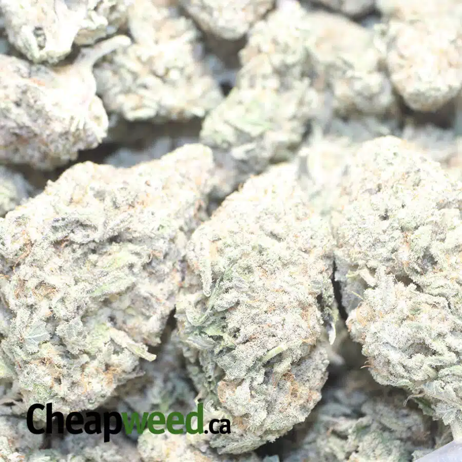 GMO COOKIES 3 I $69 Oz - GMO Cookies