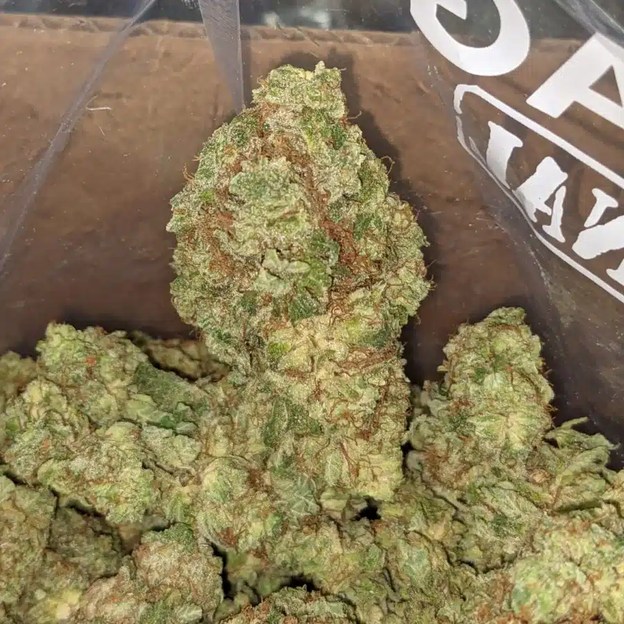 Lemon breath 1 I Lemon Breath