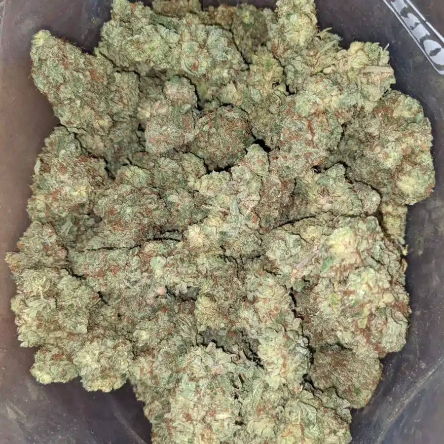 Lemon breath 2 I Lemon Breath