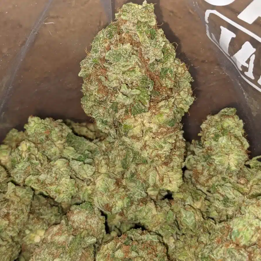 Lemon breath 3 I Lemon Breath