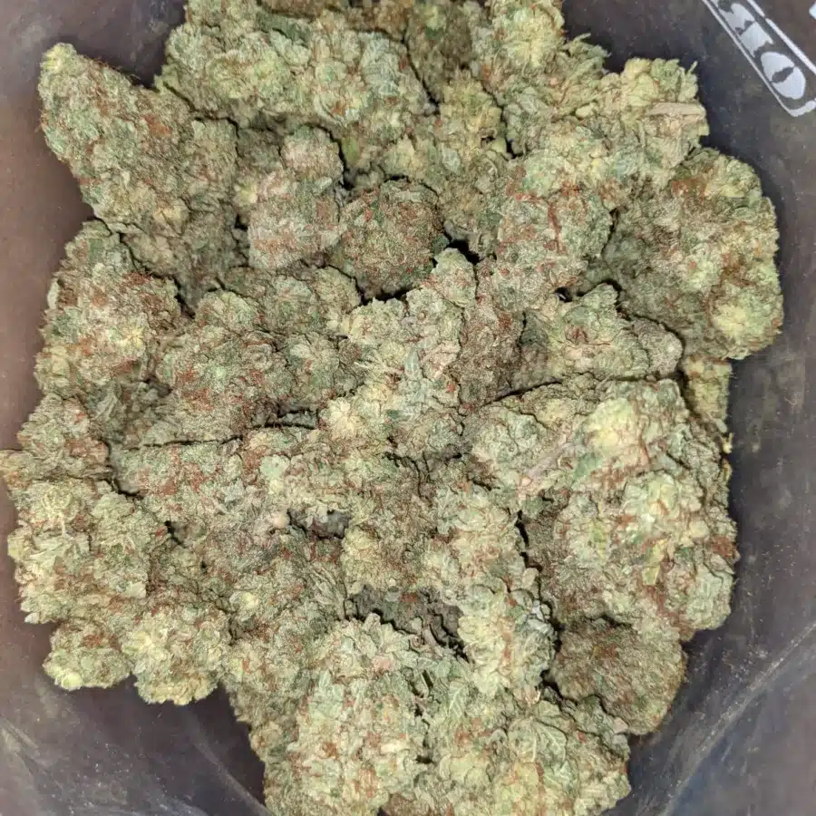 Lemon breath 4 I Lemon Breath