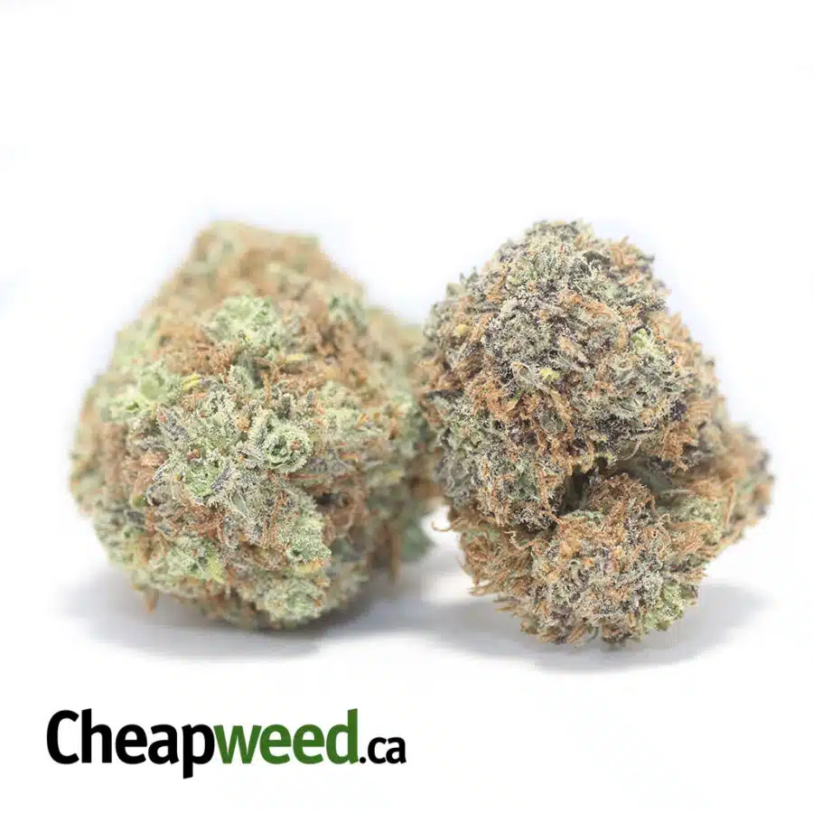 PLAT BLCKBERRY 2 I $61 Oz - Platinum Blackberry