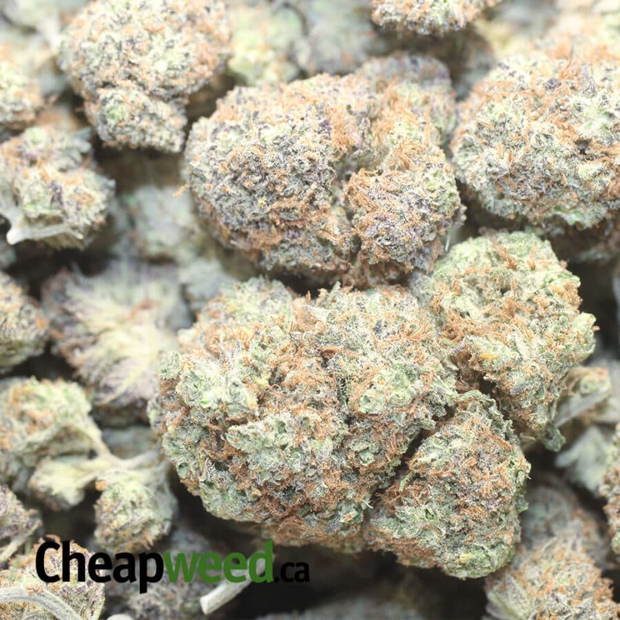 PLAT BLCKBERRY 3 I $61 Oz - Platinum Blackberry