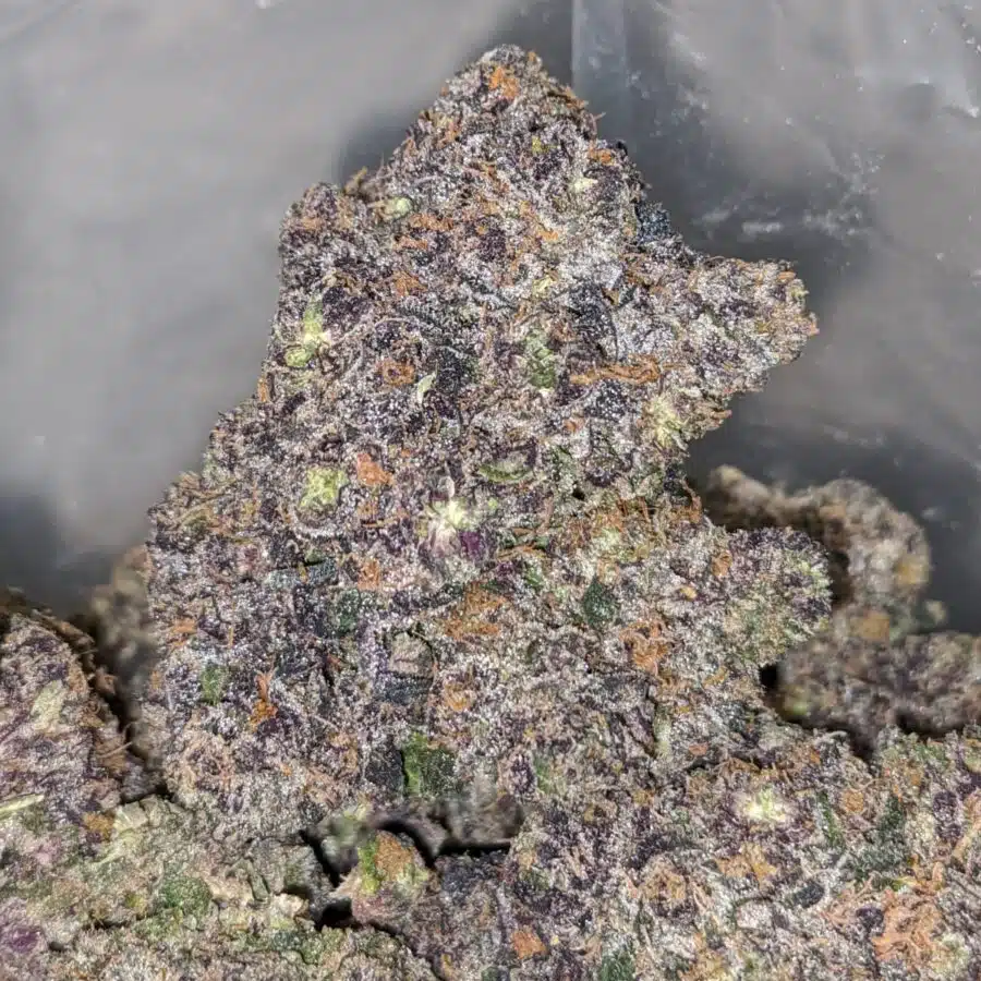 Purple Space Monkey - Image 3