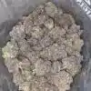 Purple Space Monkey