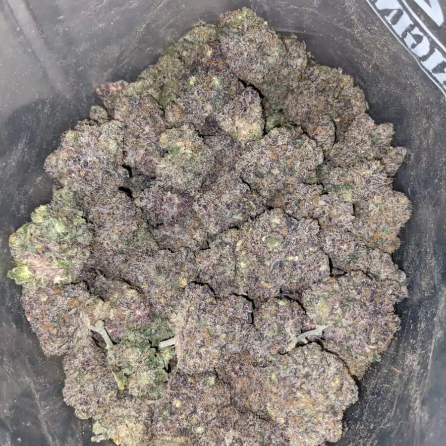 Purple Space Monkey