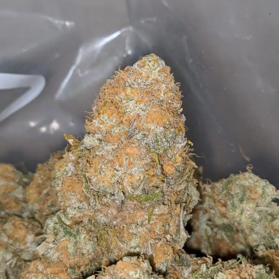 SUNDAE DRIVER 1 I $63 Oz - Sundae Driver