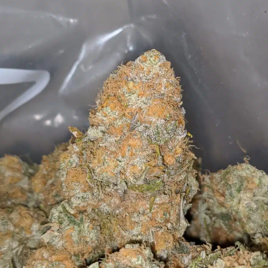 SUNDAE DRIVER 2 I $63 Oz - Sundae Driver