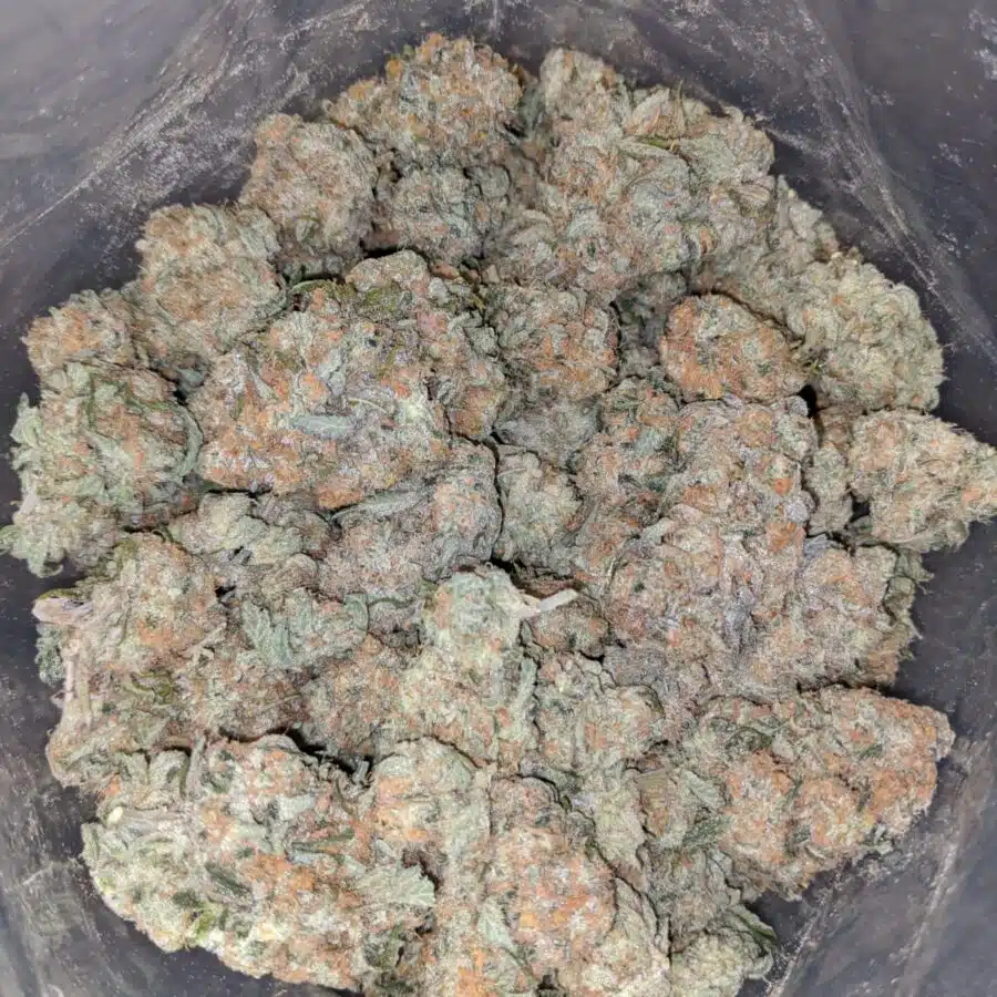 WhatsApp Image 2023 02 09 at 3.02.55 PM 2 I $69 Oz - 3 Kings