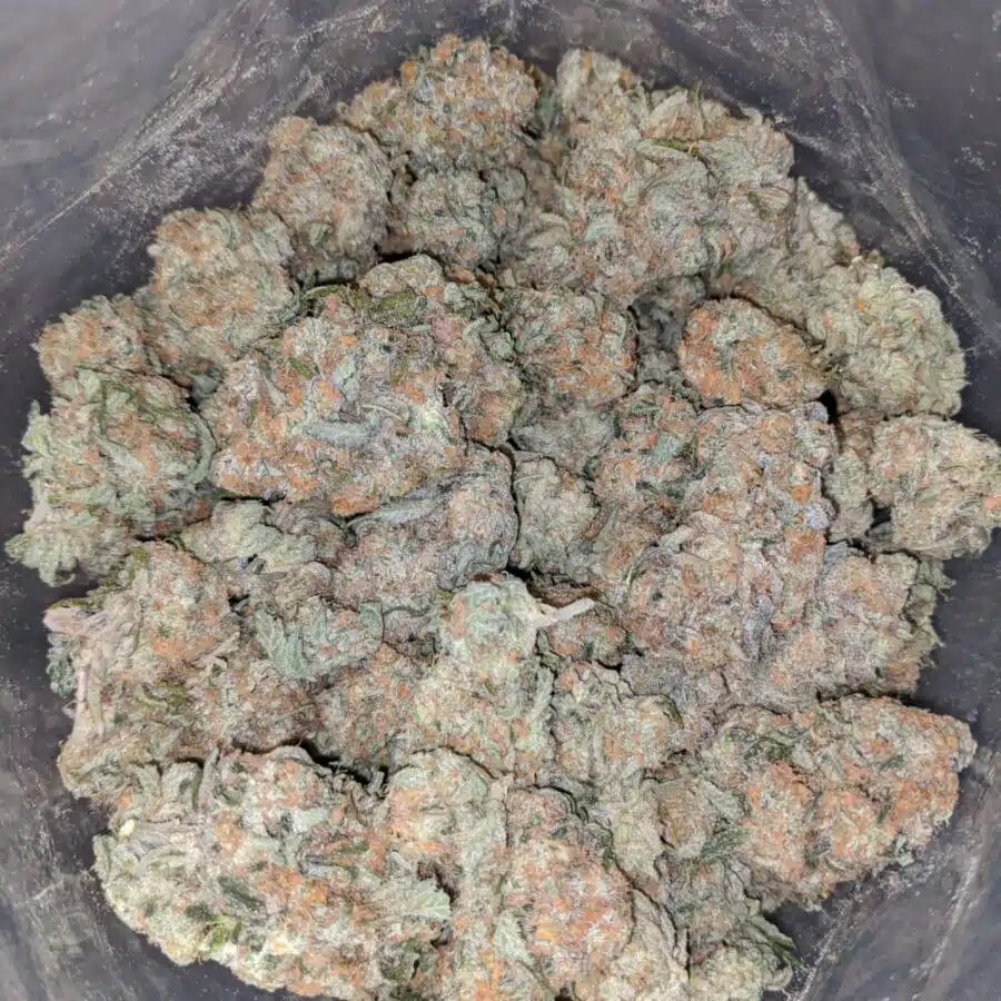 WhatsApp Image 2023 02 09 at 3.02.56 PM I $69 Oz - 3 Kings