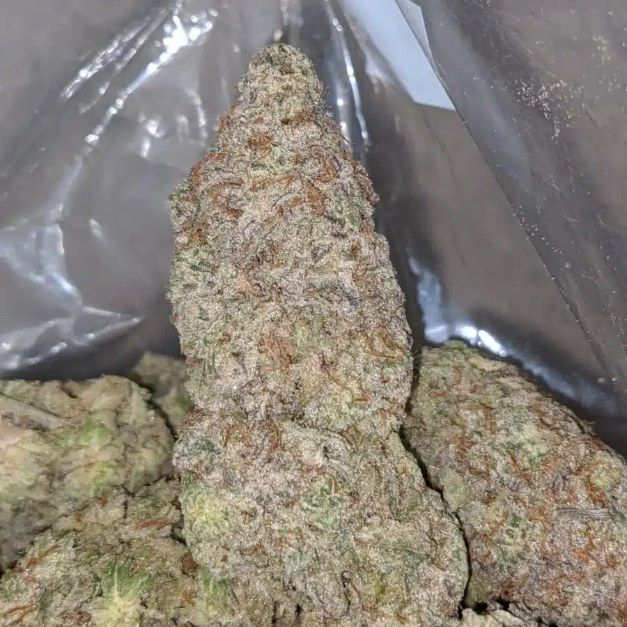 Alternative view of Frosty Flakes