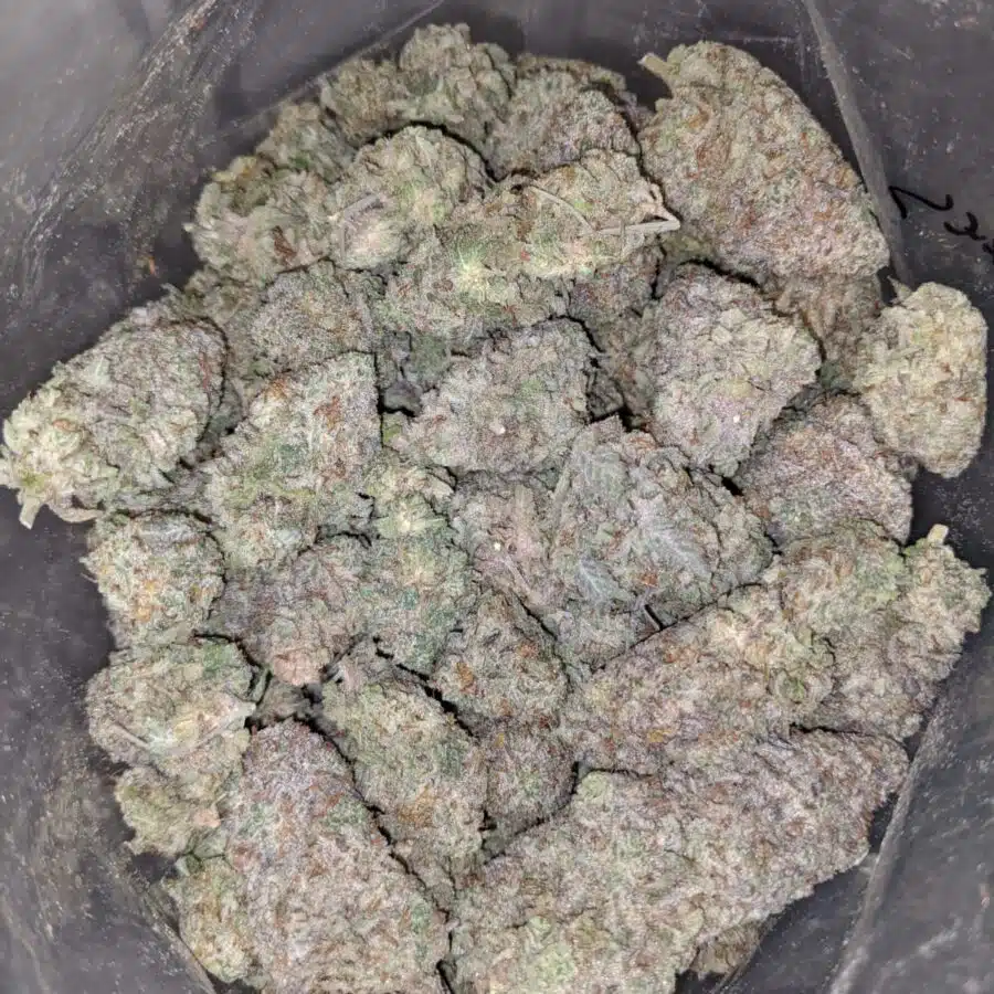 Frosty Flakes
