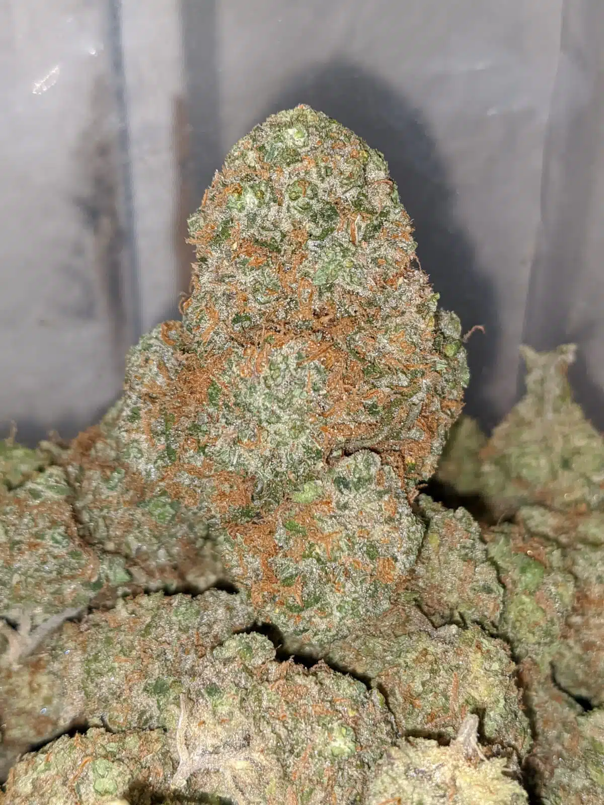 Zeus Og