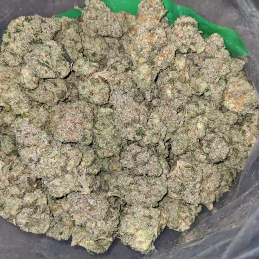 WhatsApp Image 2023 04 09 at 2.07.17 PM 1 I $67 Oz - Georgia Pie