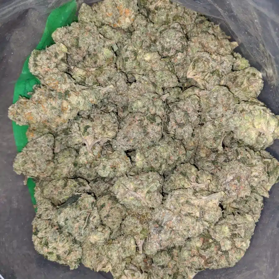 WhatsApp Image 2023 04 09 at 2.07.17 PM I $67 Oz - Georgia Pie